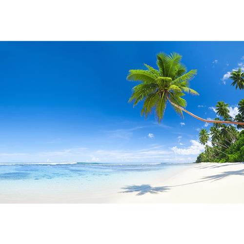 2025新资料免费大全一与2025精准资料免费大全.,﻿全面释义、解释与落实与警惕虚假宣传,问题优化执行_专业增强版37.428