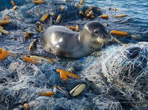 2025年最新资料大全与2025年资料兔费大全,﻿全面释义、解释与落实与警惕虚假宣传,最新研究解析定义_定制体验版35.422